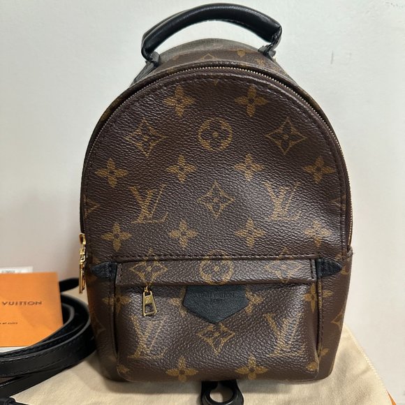 Louis Vuitton Palm Springs Mini Backpack main image 11
